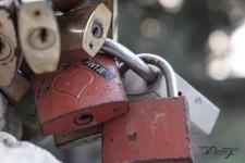 Cadenas sur cadenas