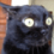 Avatar de kiwamp